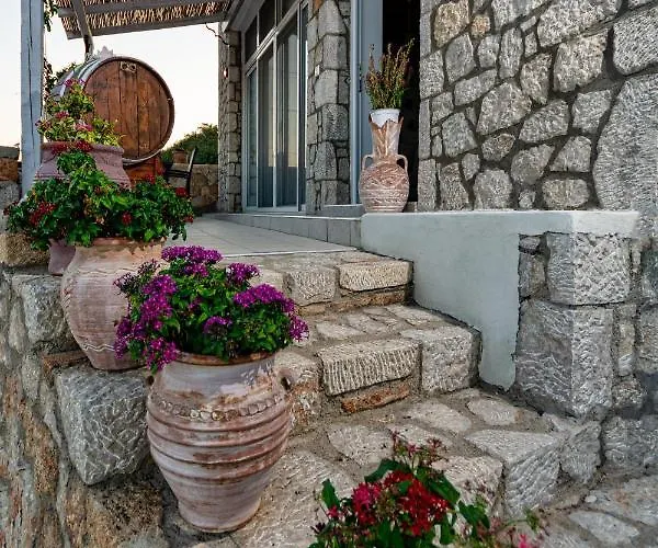 Chrysanthi's Stone House * Afantou